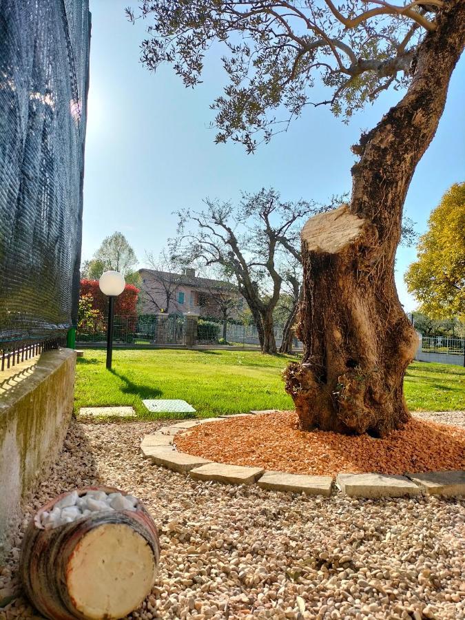 Casa Degli Ulivi Villa Lazise Buitenkant foto